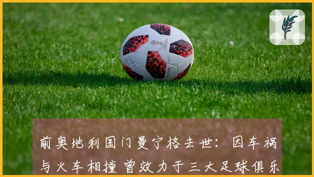 前奥地利国门曼宁格去世：因车祸与火车相撞 曾效力于三大足球俱乐部